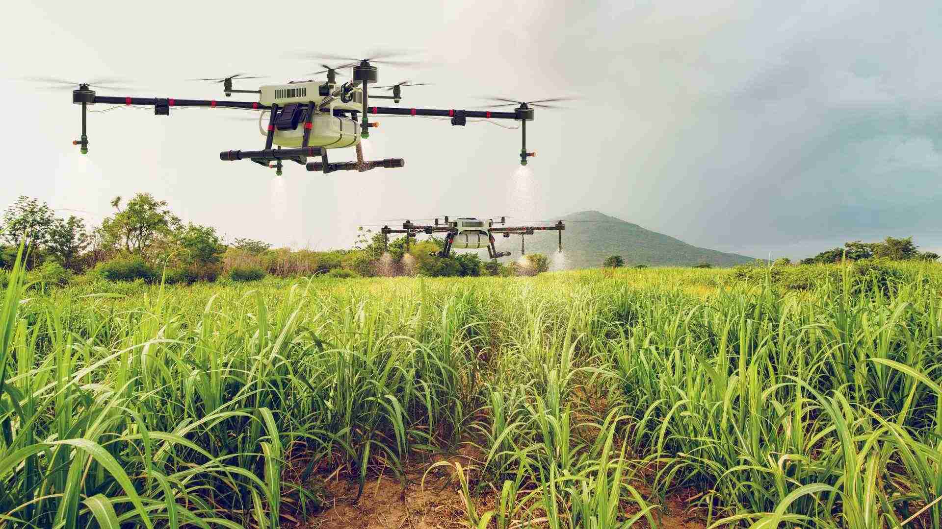 Dadaba Prestige — Smart Farming